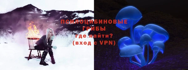 амф Абинск