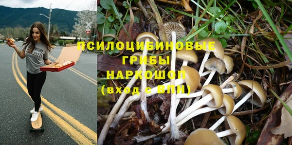 амф Абинск